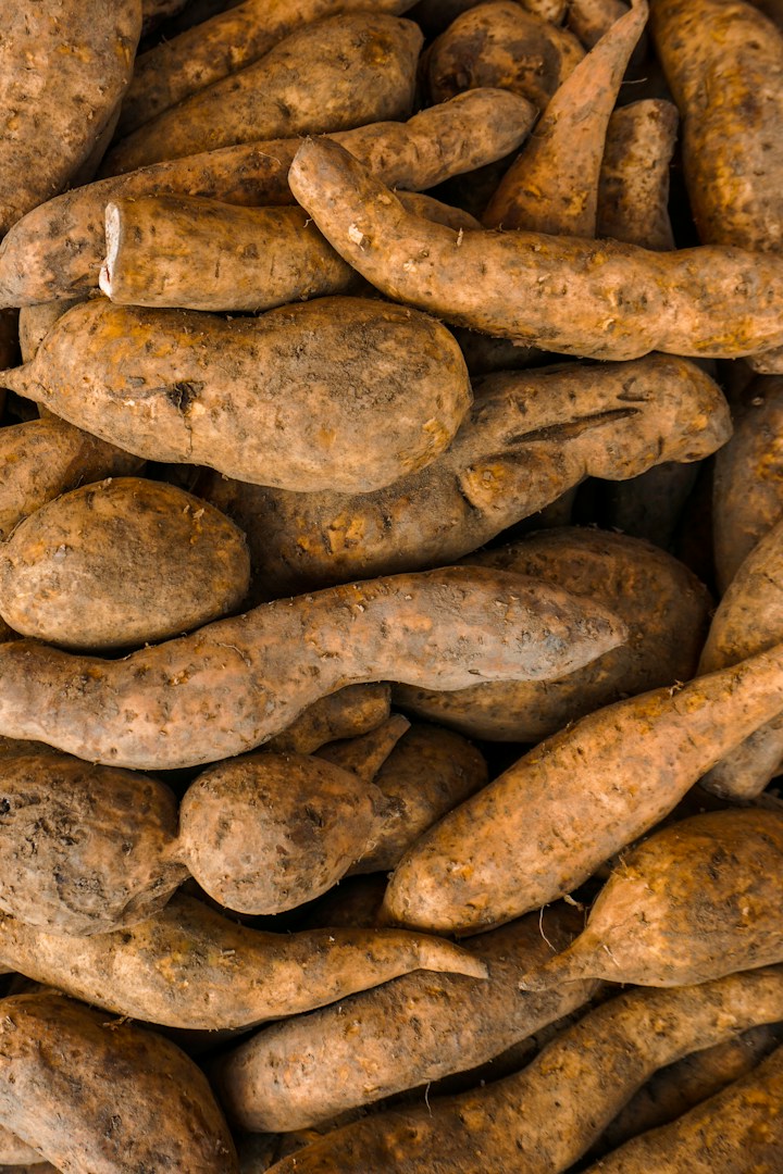 Sweet Potato